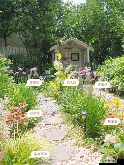 时温旅行种花攻略:打造独特花园景象
