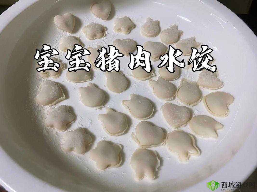 课后辅导 po 肉馅小水饺:美味与知识的交融