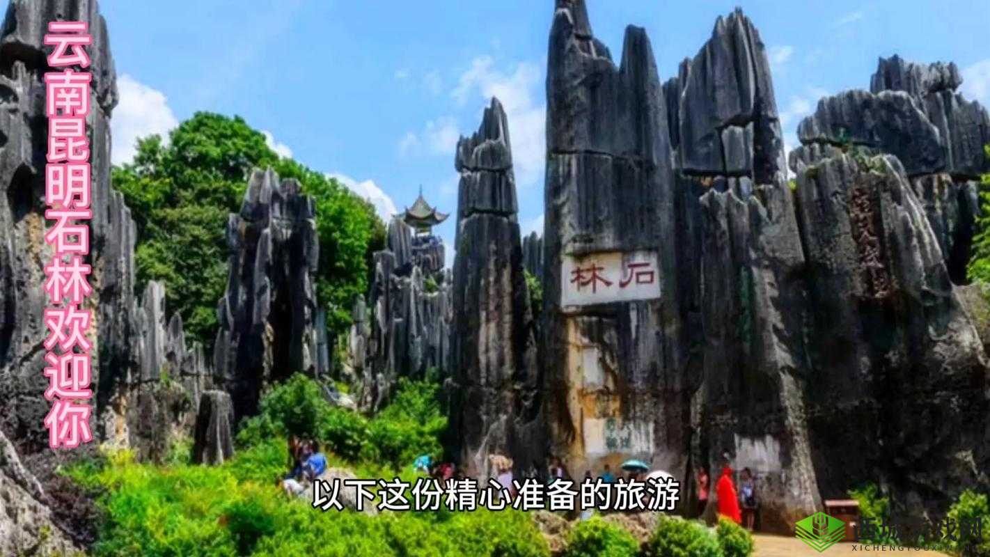 国产一区二区区别:探寻其中的差异