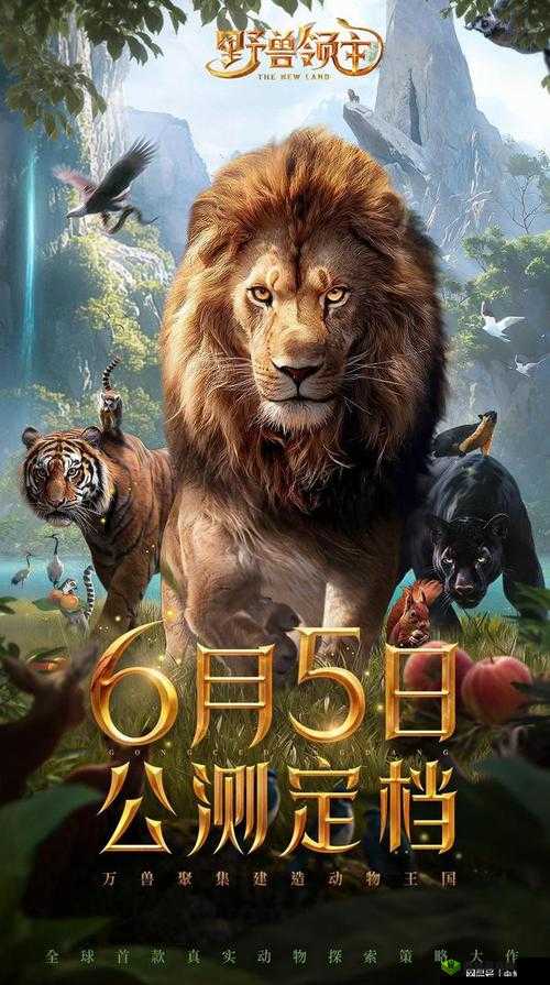 5 人轮换怎么玩:详细玩法与策略解析