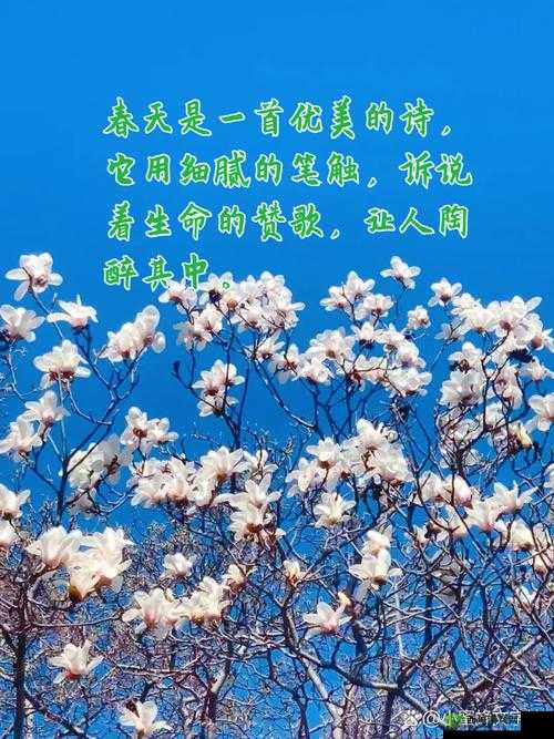 老王头的春天林初晴最火的一句:春天来了万物复苏