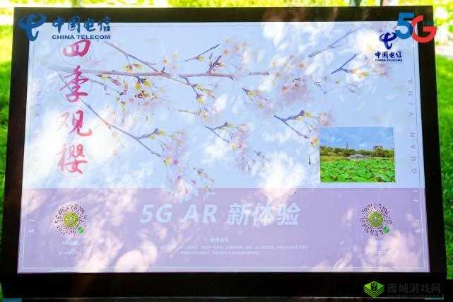 樱花官网官方进入:开启全新体验之旅