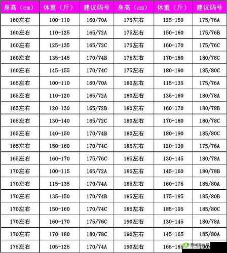欧洲多尺码 3538:优质服装尺码之选