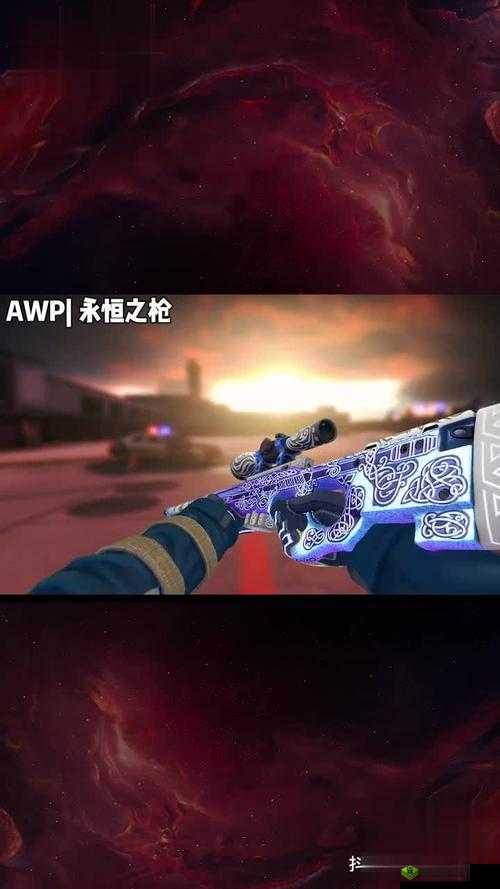 日本CS-GO大姐姐AWP多少钱-价格探秘