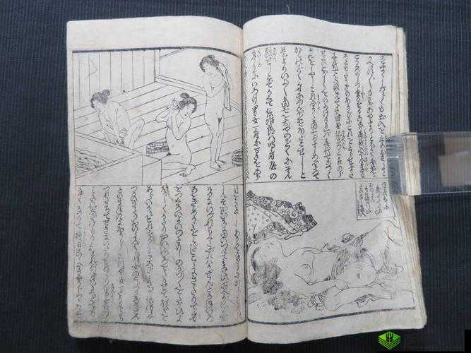 以色黄女之录：古代女性生活画卷