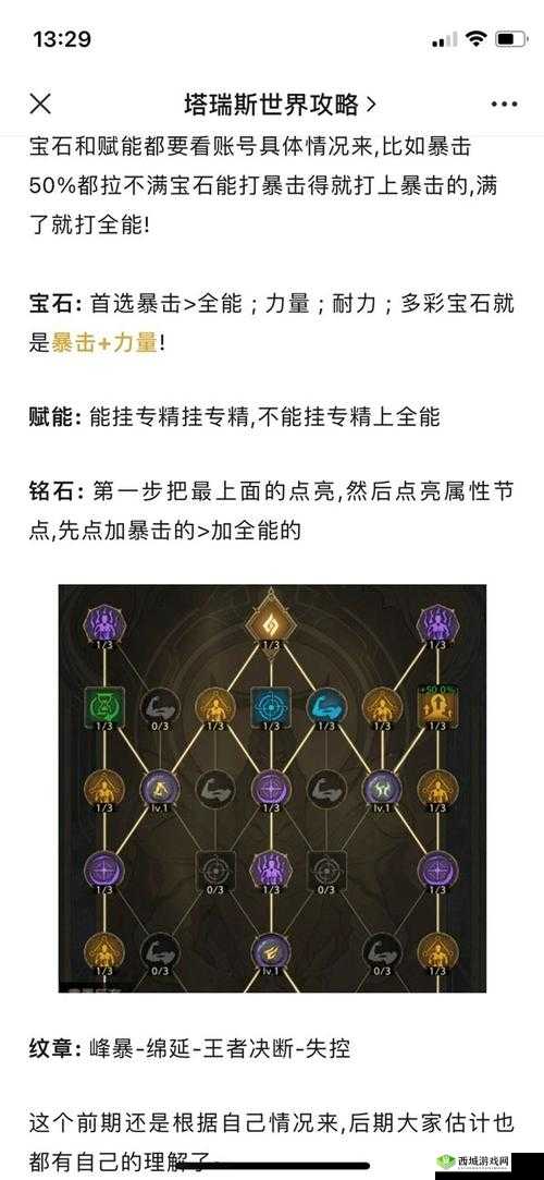 盐和避难所圣骑士攻略大全:初始属性解析与成长指南