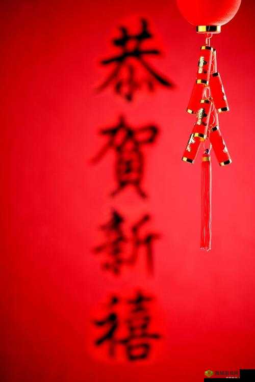 星空无限传媒回家过年:共迎新春团聚时刻