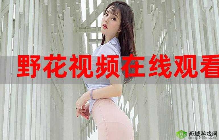 野花高清 1 在线观看免费:精彩影视随时畅享