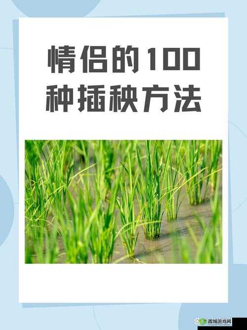 24 种男女插秧法提高效率:传统农耕智慧与现代实践结合