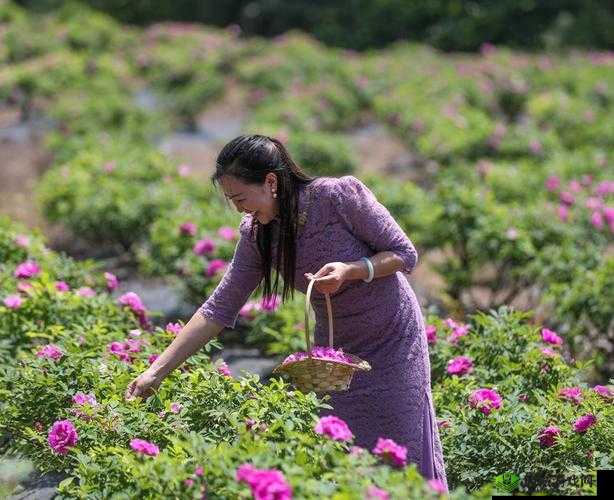 国产精品摘花:探寻自然之美