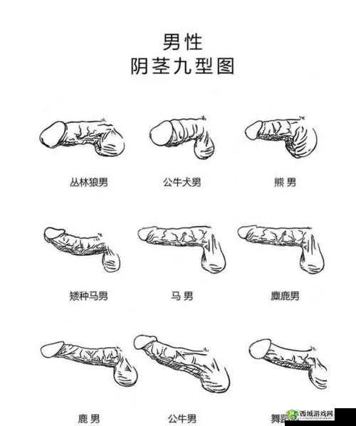 好爽好紧 H 男男吹潮:探索男性私密领域的激情体验