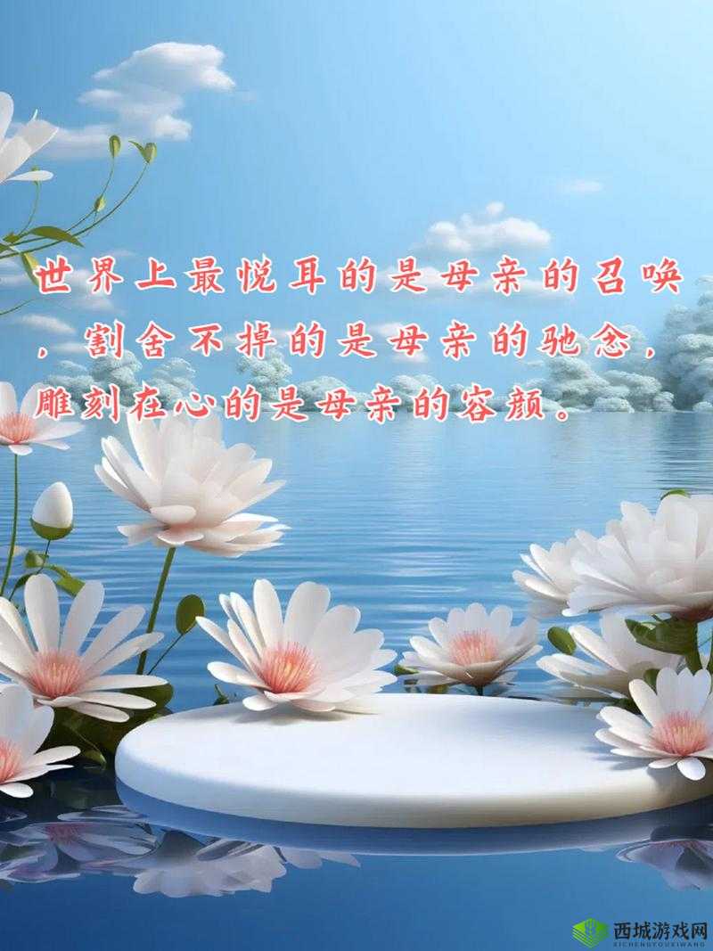 お母ちゃんいいっす什么意思:对母亲的一种赞美表达