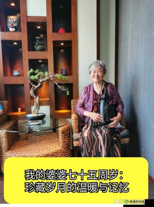 几位老婆婆的经典 BGM 视频:岁月中的温暖记忆