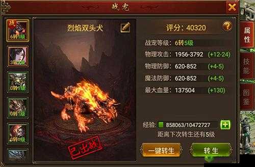 黄金裁决,探索最强战宠的奥秘