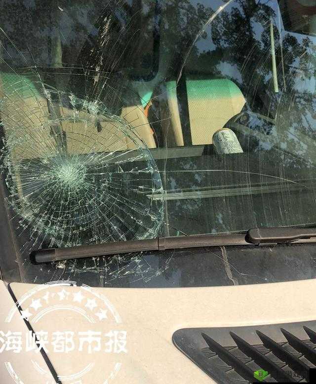 9 分 10 秒头撞玻璃:令人震惊的意外事件背后的真相