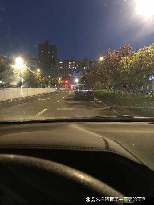 都市激色:繁华都市中的激情与色彩