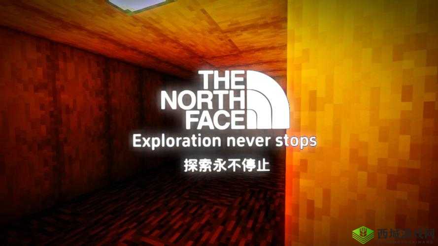 WWWWXXXX:探索未知领域的神秘之旅即将开启
