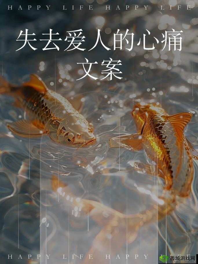 丈夫遗像前的思念与回忆:如何面对失去爱人后的生活?